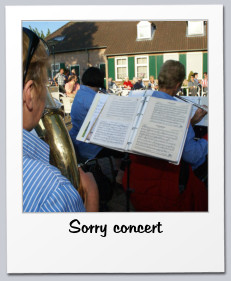 Sorry concert